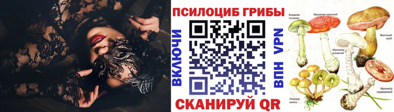 Псилоцибиновые грибы Cubensis  Нижнекамск 